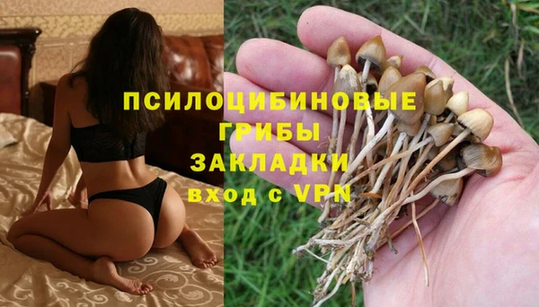 PSILOCYBIN Богородицк